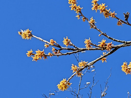 Park «Memorial Park», reviews and photos, 580 Valley St, Maplewood, NJ 07040, USA