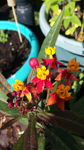 Book Store «Pipe & Thimble Bookstore», reviews and photos, 24830 Narbonne Ave, Lomita, CA 90717, USA