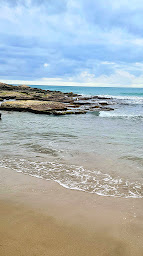 Photo n°8 de New Montcharlet à Chiddes ()