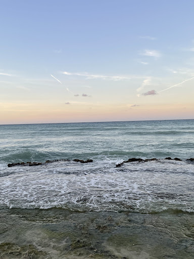 Travel Agency «First Discount Travel», reviews and photos, 4828 Cooper Rd, Cincinnati, OH 45242, USA