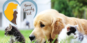Carlsen Animal Hospital, A Thrive Pet Healthcare Partner