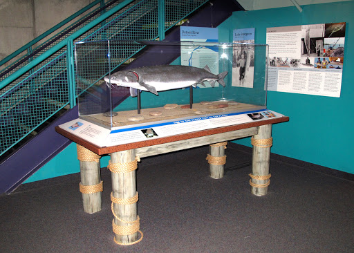 Science Museum «Michigan Science Center», reviews and photos, 5020 John R St, Detroit, MI 48202, USA