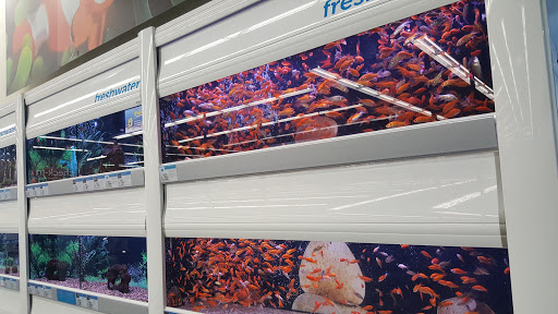 Pet Supply Store «Petco Animal Supplies», reviews and photos, 2687 Countryside Dr, Turlock, CA 95380, USA