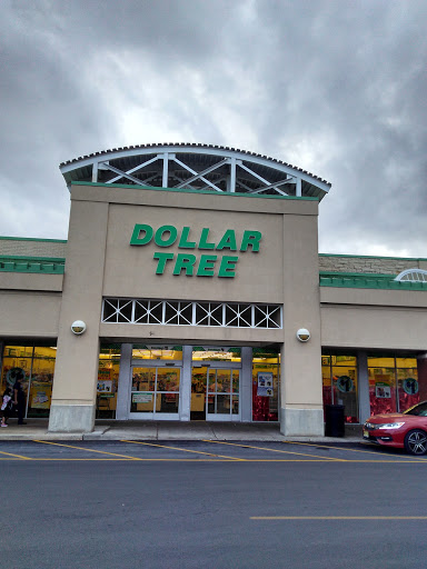 Dollar Store «Dollar Tree», reviews and photos, 423 US-46, Dover, NJ 07801, USA