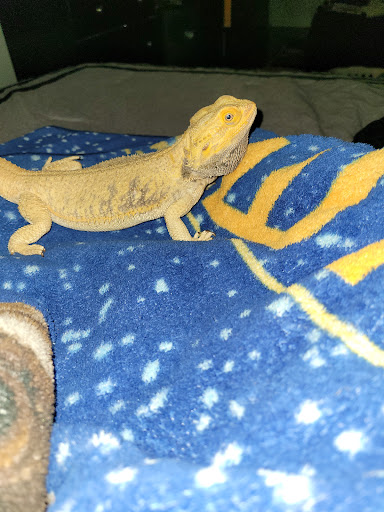 1646 S Military Hwy, Chesapeake, VA 23320, USA