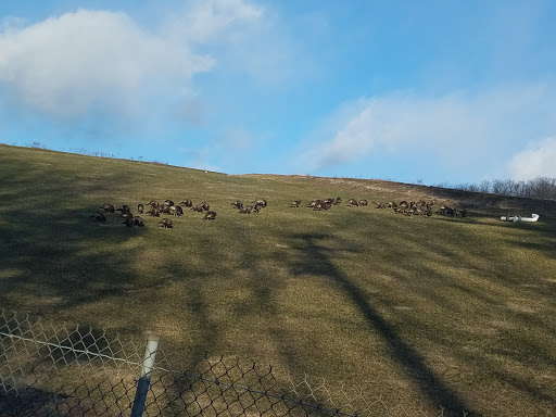 Vineyard «Torne Valley Vineyard», reviews and photos, 1 Torne Valley Rd, Hillburn, NY 10931, USA