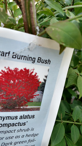 Pet Supply Store «CountryMax - Brockport», reviews and photos, 4875 Lake Rd N, Brockport, NY 14420, USA