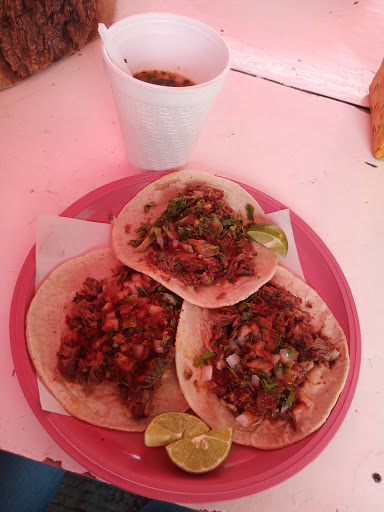 Tacos Polo