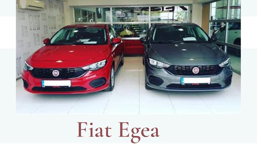 Muğla Çağ Rent A Car
