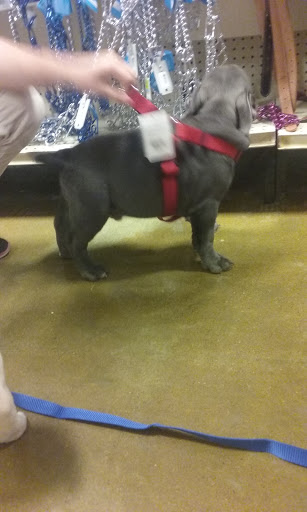 Pet Supply Store «PetSmart», reviews and photos, 4061 Miller Rd, Flint, MI 48507, USA