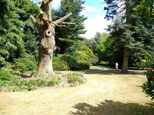 Winterbourne House & Garden