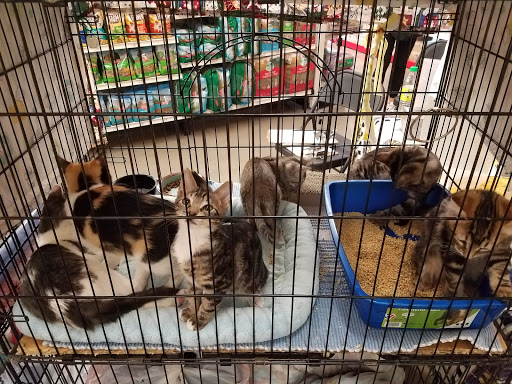 Pet Supply Store «Pet Food Express», reviews and photos, 5148 Stevens Creek Blvd, San Jose, CA 95129, USA