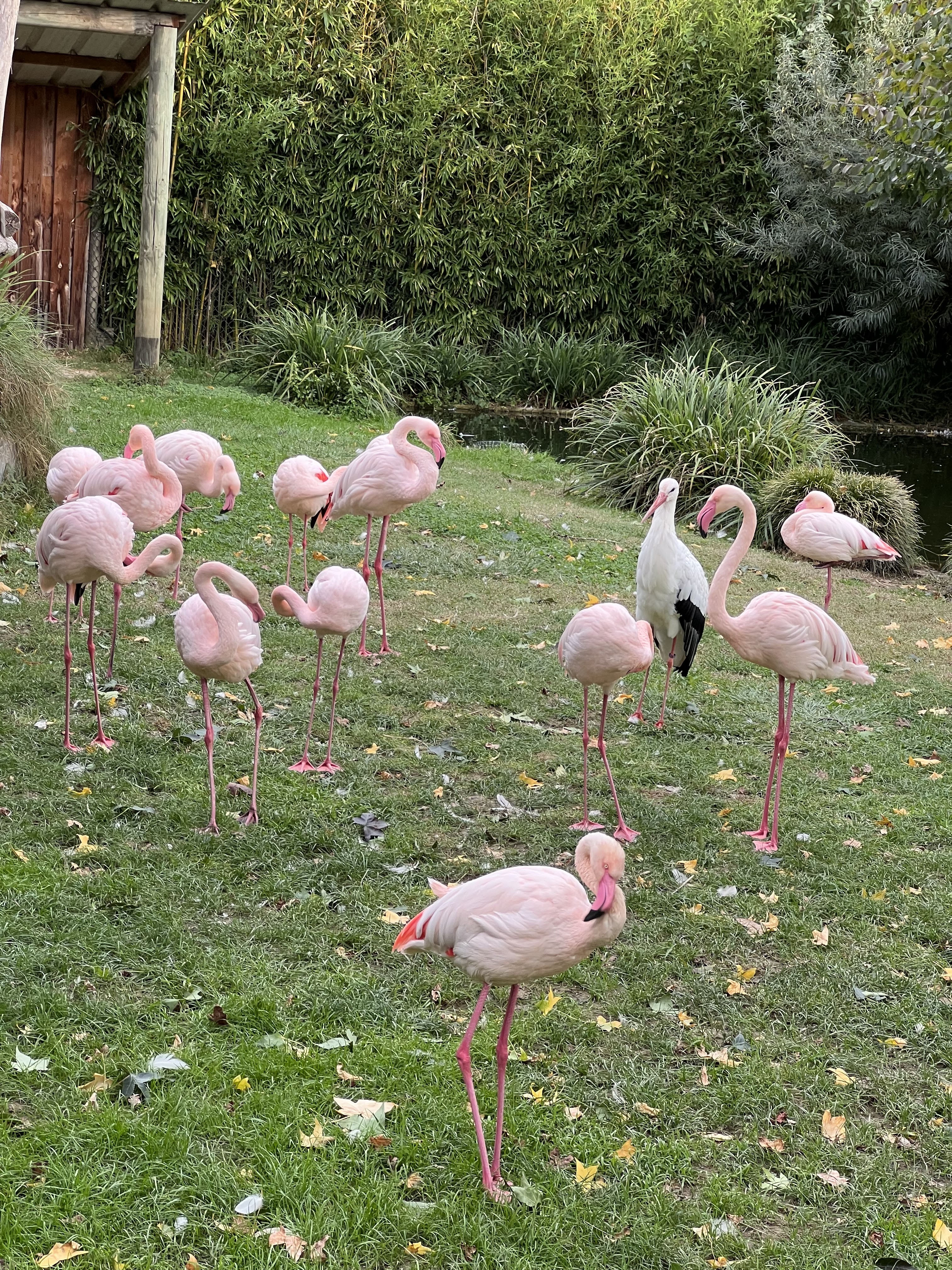 Photo n° 2 de l'avis de Floriane.a fait le 21/11/2023 à 13:00