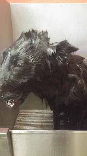 Pet Supply Store «An-Jan Feed & Pet Supply», reviews and photos, 433 Vineyard Blvd, Morgan Hill, CA 95037, USA