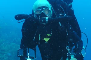 Duggan Diving image