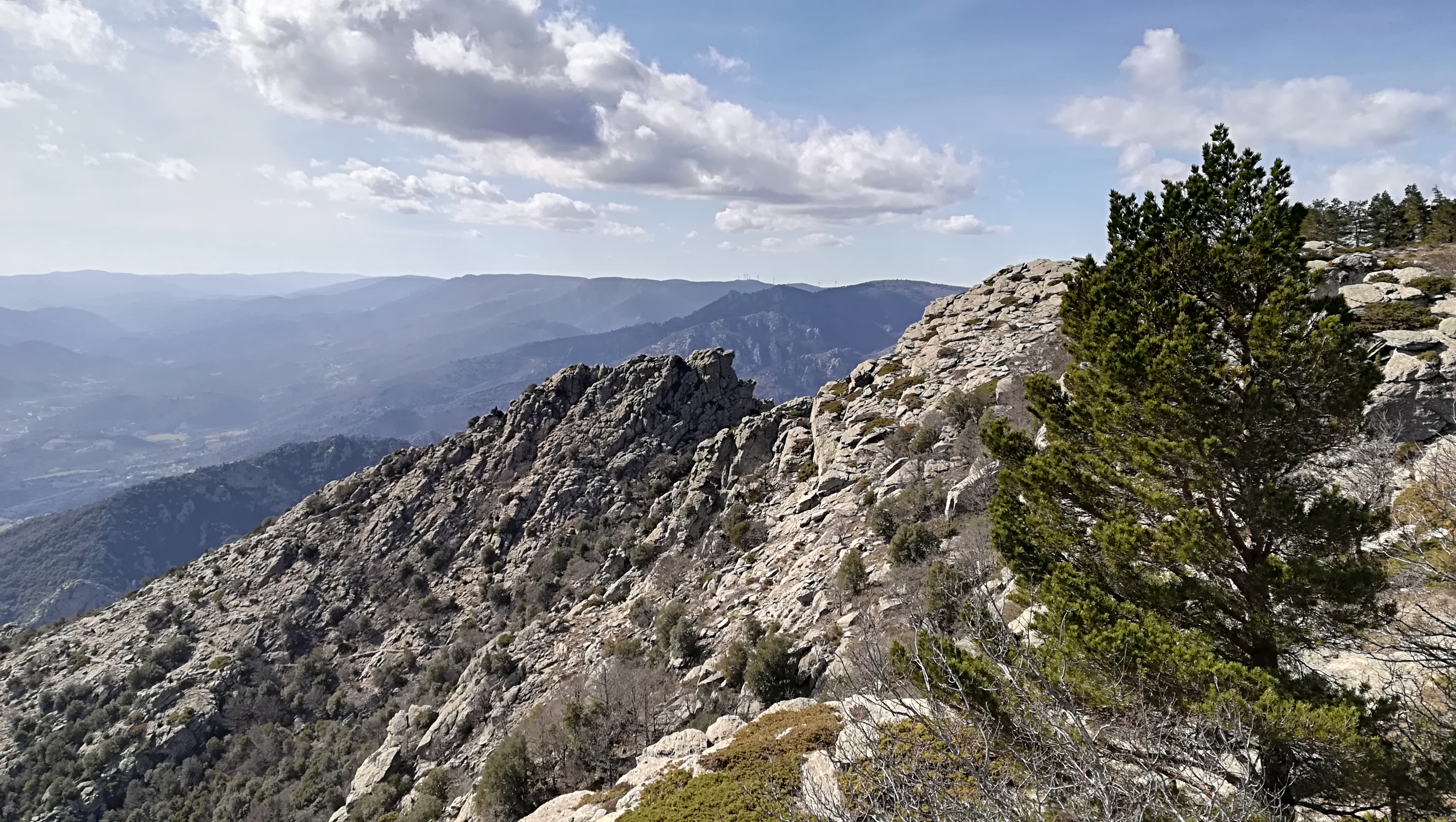 Photo n° 3 de l'avis de SALLES.R fait le 06/06/2019 à 17:28