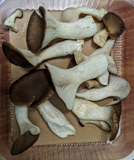 Greenhouse «Stiles Vegetable Farm and Greenhouse», reviews and photos, 11717 Sheridan Rd, Pleasant Prairie, WI 53158, USA