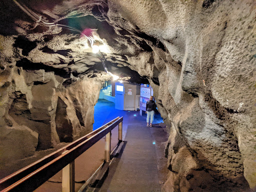 Tourist Attraction «Sea Lion Caves», reviews and photos, 91560 US-101, Florence, OR 97439, USA