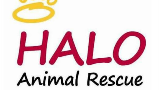HALO Animal Rescue Everyday Adption Center