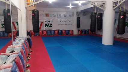 Club Municipal de KarateDo Jovenes por la Paz - Avenida Mariano Escobedo 20-24, La Cañada, 90202 Calpulalpan, Tlax., Mexico