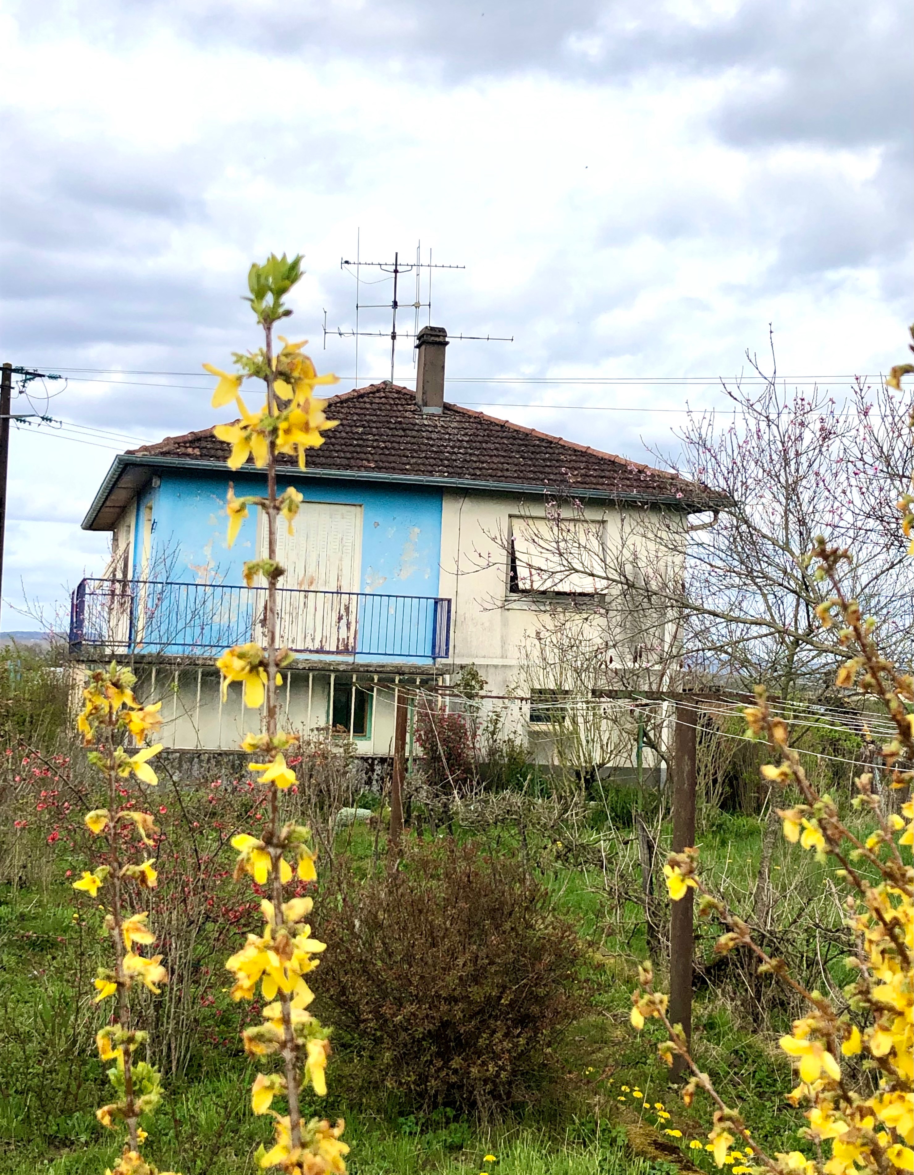 Photo n° 1 de l'avis de Claudine.a fait le 13/04/2023 à 19:34