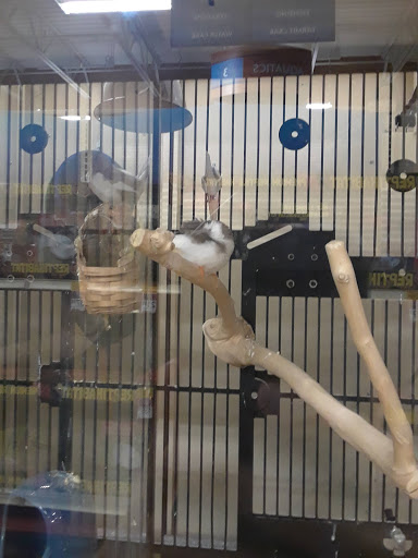 Pet Supply Store «PetSmart», reviews and photos, 1919 Wells Rd, Orange Park, FL 32073, USA