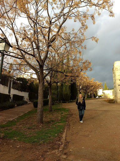 Escuela de Idiomas Ave María (EIAV), Escuela en Granada,Granada