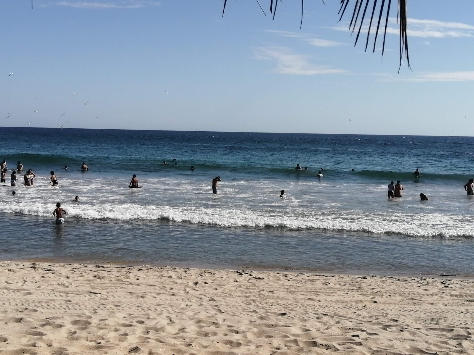 Foto av Playa Las Gaviotas - populär plats bland avkopplingskännare