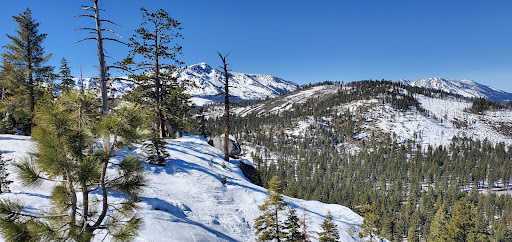 Tahoe Outdoor Adventures image