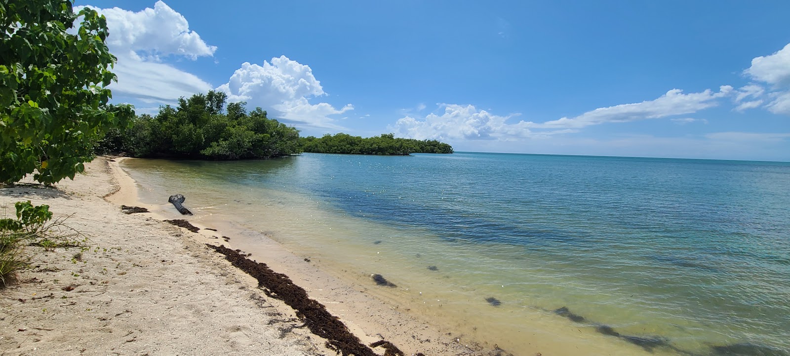 Valokuva Playa La Playitaista. pinnalla turkoosi puhdas vesi:n kanssa