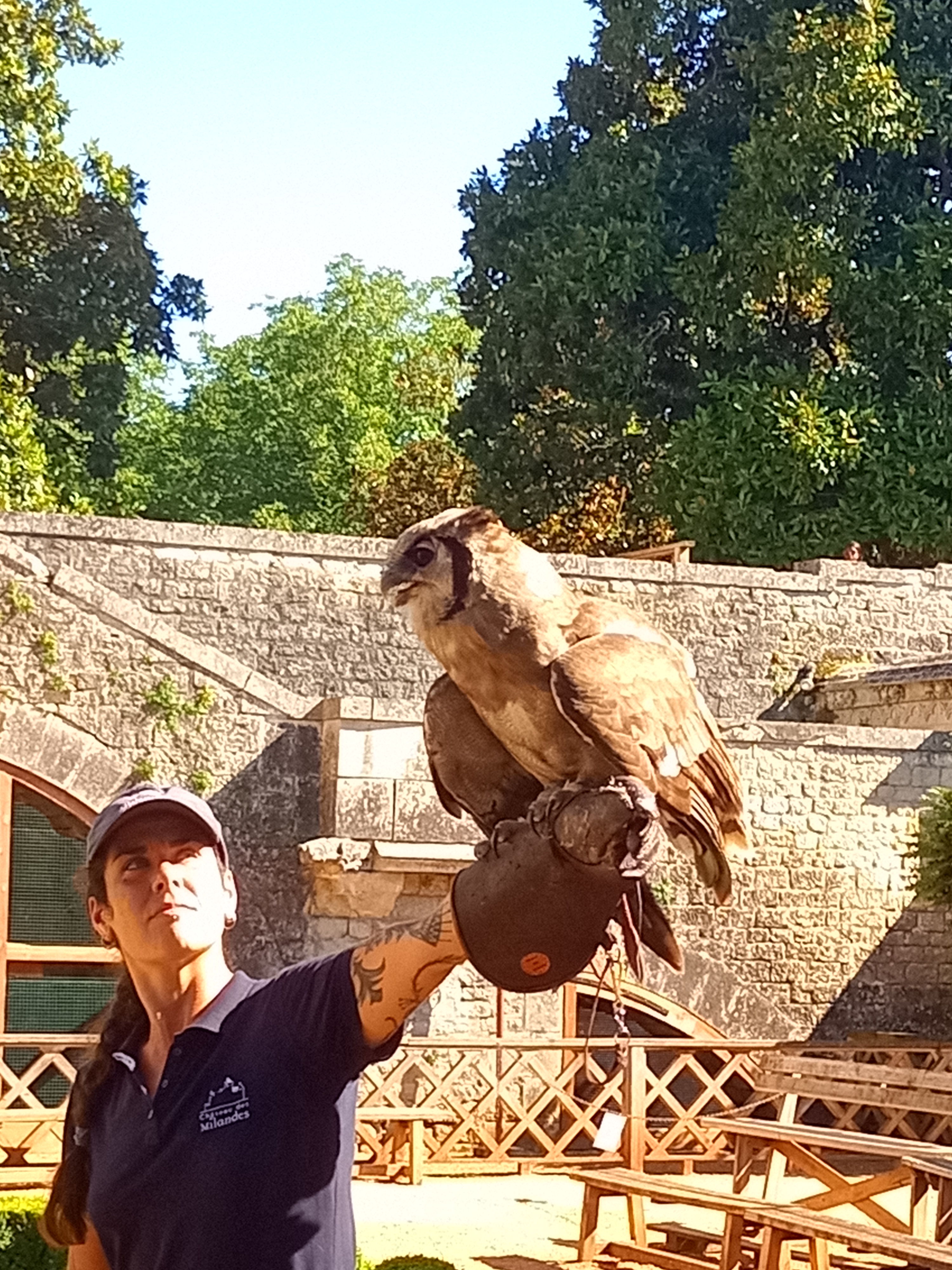 Photo n° 4 de l'avis de Ludovic.e fait le 14/07/2023 à 18:33