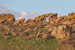 Devil's Backbone Open Space