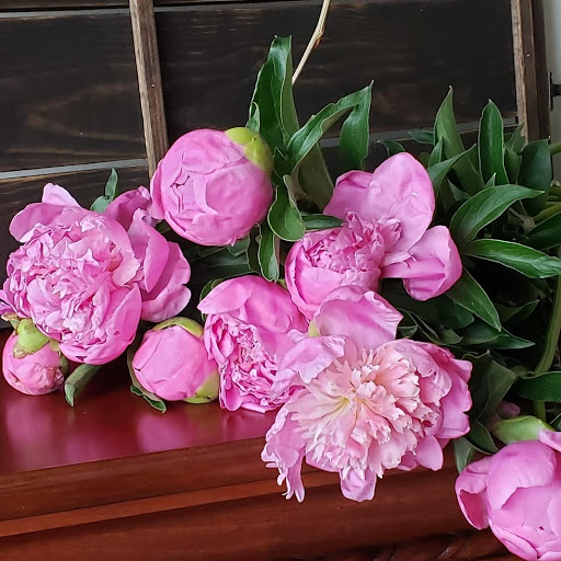 Florist «Cottonwood Florist», reviews and photos, 4681 W 20th St, Greeley, CO 80634, USA