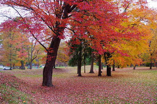 Park «Lykens Glen Park», reviews and photos, 706 Park View Rd, Lykens, PA 17048, USA