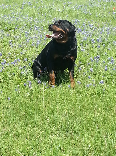 Computer Repair Service «WacoTechs - iPhone and Computer Repair», reviews and photos, 901 N Valley Mills Dr, Waco, TX 76710, USA