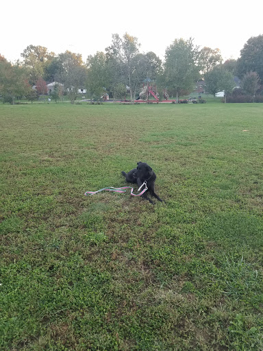 Park «Warwick Park», reviews and photos, Warwick Ave, Louisville, KY 40222, USA