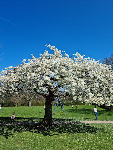Comments and reviews of Keynsham Memorial Park