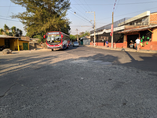 Punto de Autobus Ruta 2C