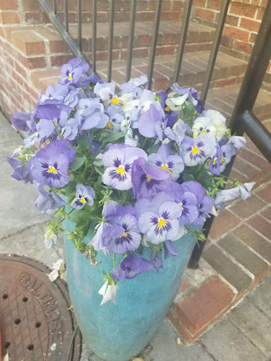 Shopping Mall «Green Spring Station-Shopping», reviews and photos, 10751 Falls Rd, Lutherville, MD 21093, USA