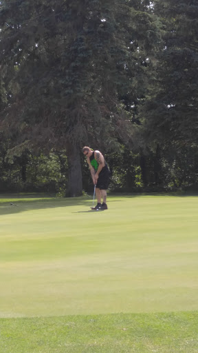 Golf Course «Pine View Golf Club», reviews and photos, Pulver Rd, Three Rivers, MI 49093, USA