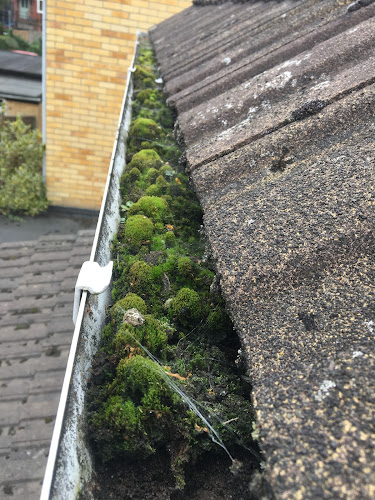 Reviews of Ace 1 Gutter Cleaning in Gloucester - House cleaning service