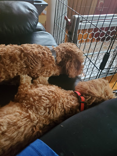 2949 W 127th St, Blue Island, IL 60406, USA