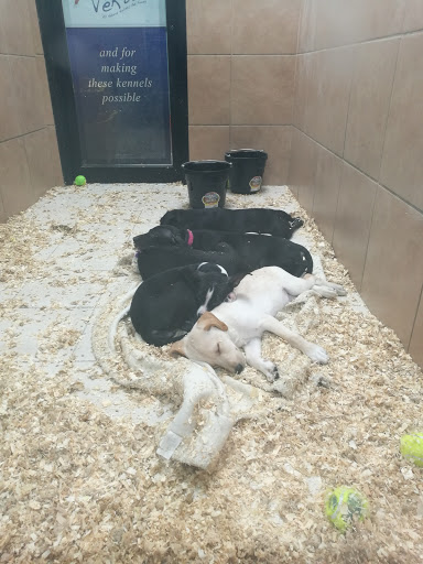 Pet Store «Pets Plus - Lansdale», reviews and photos, 555 S Broad St, Lansdale, PA 19446, USA