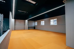 Nemeos Jiu Jitsu - Brazilian Jiu Jitsu image