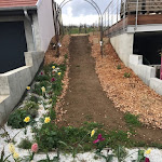 Photo n° 7 de l'avis de Delphine.i fait le 02/04/2023 à 16:38 pour Les Résilients à Bernardswiller