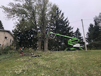 Skyline Tree Service and Landscaping Inc. - Photo 8 - Car repair in , Elgin
