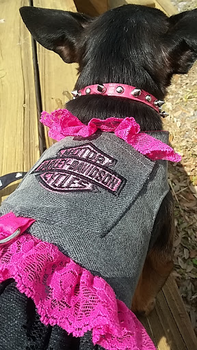 Harley-Davidson Dealer «Harley-Davidson of Tampa», reviews and photos, 6920 N Dale Mabry Hwy, Tampa, FL 33614, USA