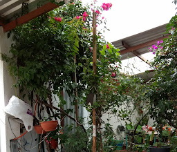 Jardín de Sofía photo