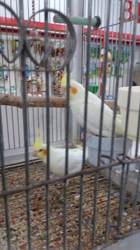 Shopping Mall «Hampton Plaza Shopping Center», reviews and photos, 4033 W Mercury Blvd, Hampton, VA 23666, USA