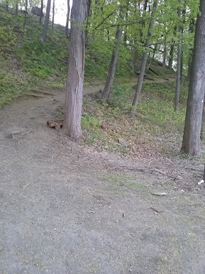 Brattleboro Common - photo 37